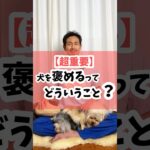 【超重要】犬を褒めるってどういうこと #犬のしつけ #dog #犬のいる暮らし