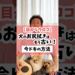 【目からウロコ】犬のお尻拭きはもう古い！今ドキの方法 #犬のしつけ #dog #犬のいる暮らし