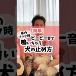 【簡単】バック時のピーピー音で鳴いちゃう犬の止め方 #犬のしつけ #dog #犬のいる暮らし