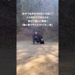 【犬のしつけで大事なこと】#shorts