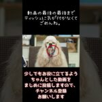 犬のしつけチャンネル。次回の動画は大失敗で撮影し直します #shorts