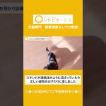 ジュエルさん預かり訓練サービス#shorts  #dog #犬のしつけ