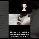 犬のしつけは　楽しいものですよ