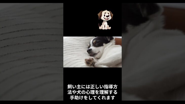 犬のしつけは　楽しいものですよ