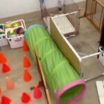 犬の幼稚園 レオくんとトレーニング