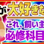 【しつけ】犬が超反応して喜ぶ大好きな音と嫌がる音！飼い主なら必修！絶対知っておきましょう！【プロドッグトレーナー】