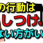 【犬 噛み癖 甘噛み しつけ】この行動はしつけをしない方がいい!!犬のしつけエマチャンネル【犬のしつけ＠横浜】