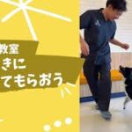 【犬のしつけ教室】歯みがきや投薬方法などトレーニングの様子をご紹介＠リベ大どうぶつ病院