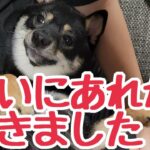 問題犬にやっと成果がでました！