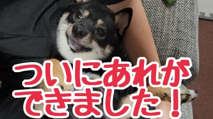 問題犬にやっと成果がでました！