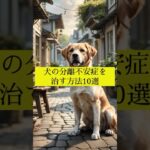 犬の分離不安症を治す方法10選 #犬の雑学 #犬の豆知識 #犬のいる暮らし #犬の行動学 #犬の病気 #犬のしつけ