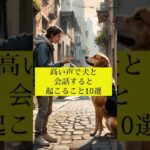 高い声で犬と会話すると起こること10選 #犬の雑学 #犬の豆知識 #犬のしつけ #shorts