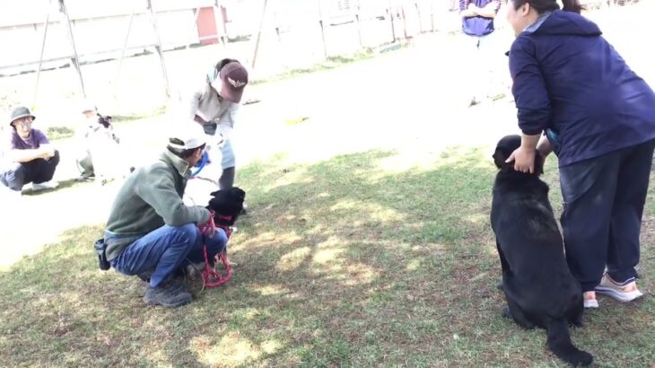 第1回犬のしつけ教室　もっと犬のこと知ってみよう！　頼りになる飼い主になろう！1