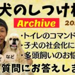 犬のしつけ相談ライブ☆ゲリラライブ【アーカイブ 2024/04/12】