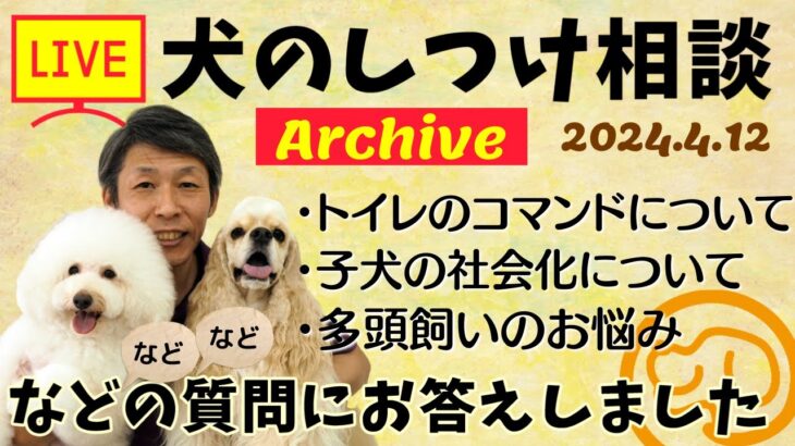 犬のしつけ相談ライブ☆ゲリラライブ【アーカイブ 2024/04/12】