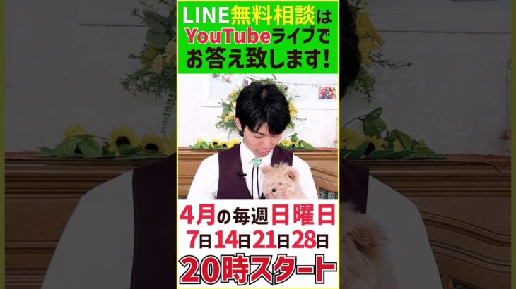 【配信告知】20時からドッグトレーナーが直接質問回答！ワンちゃんについての質問募集中！4/7.14.21.28　#告知