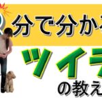 【犬のしつけ】3分で分かる！ツイテ（ヒールポジション）の教え方☆