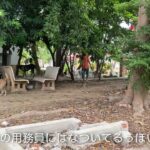 タイの野良犬さんぽー０１１：DOGGY STATION/犬のしつけ・問題行動・犬の心理学・犬の行動学・ドッグビヘイビアリスト