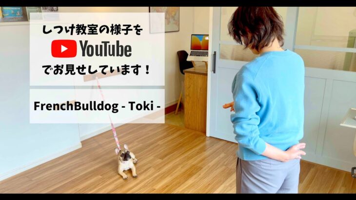 ［飼い主さんが学ぶしつけ教室］Day 2 – Toki –