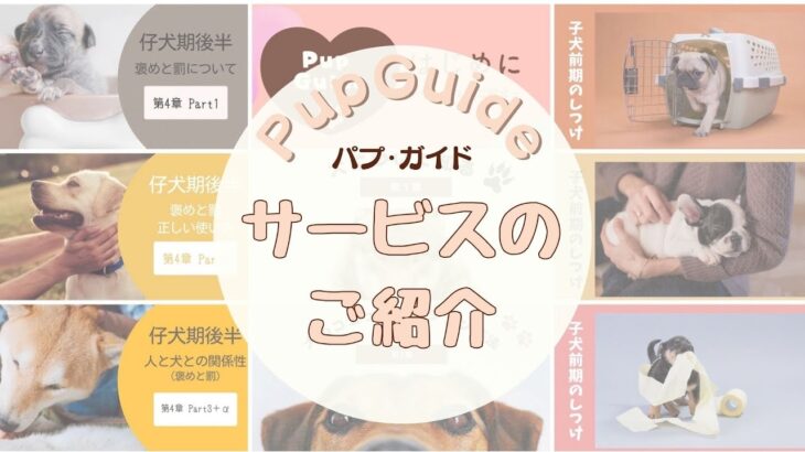 【オンラインしつけ】Pup Guideについて