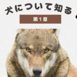 【Pup Guide】第1章 犬について知る