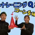 トイレトレーニングQ＆A 【第1弾】NOBU＆KUMI　カラーコーンを使う⁉【犬 トイレ】