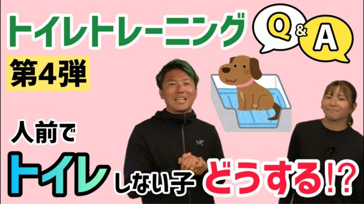 トイレトレーニングQ＆A 【第4弾】NOBU＆KUMI　人前でトイレをしない子どうする！？【犬 トイレ】