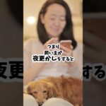 飼い主の夜更かしで愛犬が寝不足に #犬のしつけ #dog #犬のいる生活