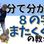 【ドッグトリック】３分で分かる８の字またくぐりの教え方【犬のしつけ】