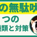 犬の無駄吠えには種類がある？