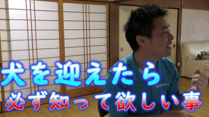 【グループ相談会】社会化期とは、犬を迎えたら必ず知っておいて欲しい事