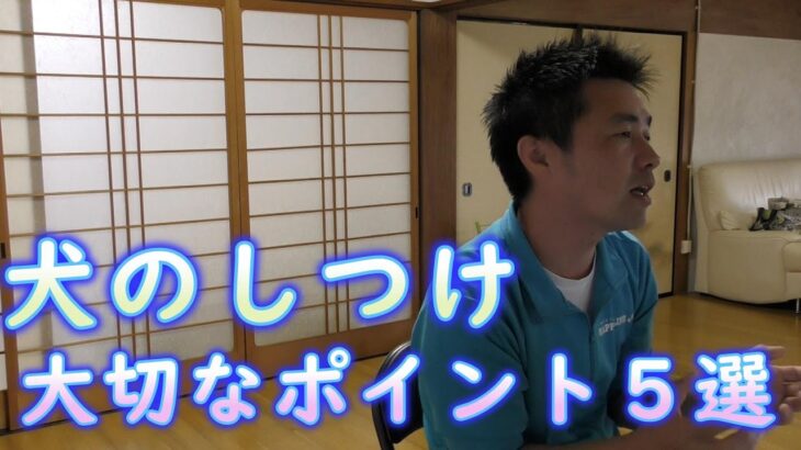 【グループ相談会】犬のしつけって難しいって本当⁉いや、これさえ分かれば大丈夫♪