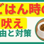 犬がごはん時の吠え！理由と対策