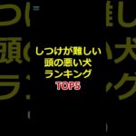 しつけが難しい犬ランキング　#雑学