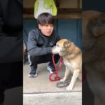 家族で愛犬のしつけに失敗しました