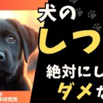 犬のしつけで絶対にしてダメなこと