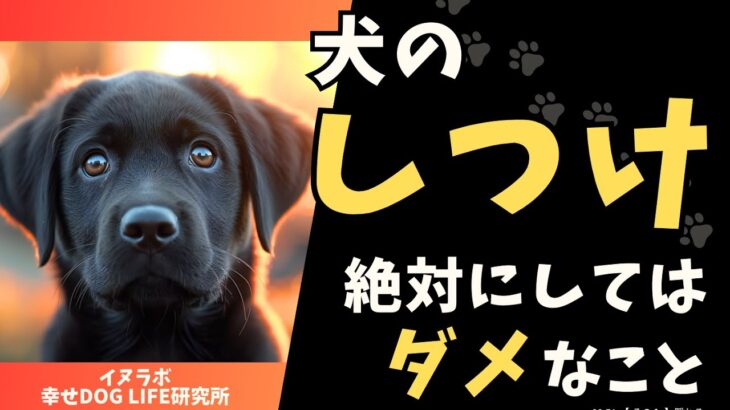 犬のしつけで絶対にしてダメなこと