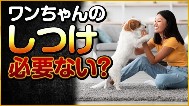 ワンちゃんのしつけ必要ない？