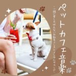 犬のしつけ