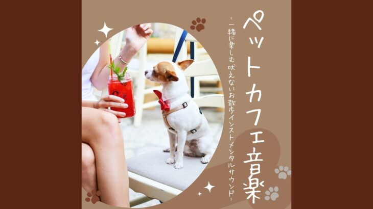 犬のしつけ