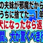 【スカッとする話】妊娠が発覚したコトメ「この犬邪魔だからあんたが処分してw」→出産後、しつけられた犬を見て取り戻しに来たが、自業自得の天罰が下って爆笑wwwww