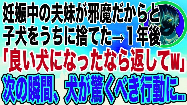 【スカッとする話】妊娠が発覚したコトメ「この犬邪魔だからあんたが処分してw」→出産後、しつけられた犬を見て取り戻しに来たが、自業自得の天罰が下って爆笑wwwww