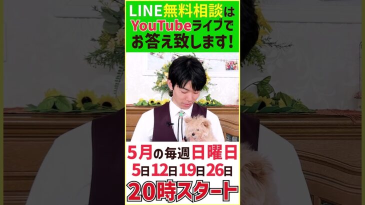 【配信告知】20時からドッグトレーナーが直接質問回答！ワンちゃんについての質問募集中！5/5.12.19.26　#告知