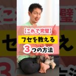 【これで完璧】フセを教える3つの方法 #犬のしつけ #しつけ #犬のいる暮らし