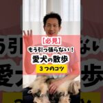 【もう引っ張らない】愛犬の散歩3つのコツ #犬のしつけ #dog #犬の散歩