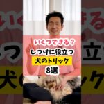 【いくつできる？】しつけに役立つ犬のトリック（技）8選