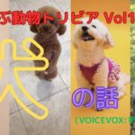 #犬のトリビア｛AIで学ぶ動物トリビア｝#犬の話 #犬の飼い方 #犬の育て方 #犬のしつけ ＃犬大好き #家族の犬 #ペットの犬 #ずんだもん