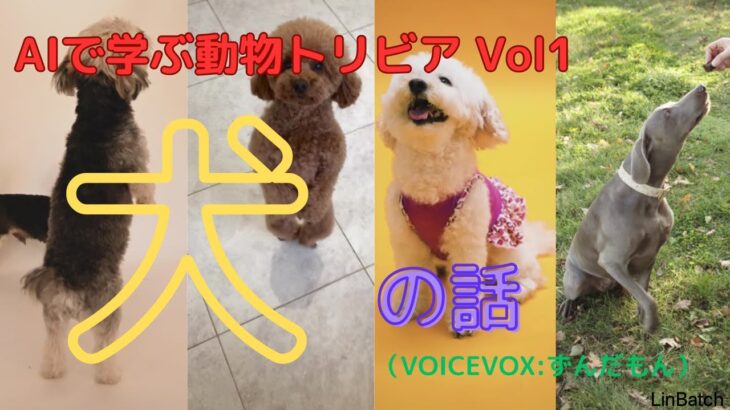 #犬のトリビア｛AIで学ぶ動物トリビア｝#犬の話 #犬の飼い方 #犬の育て方 #犬のしつけ ＃犬大好き #家族の犬 #ペットの犬 #ずんだもん