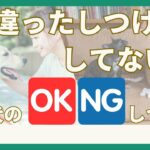 【犬のしつけNG行為】間違った叱り方