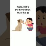 犬のしつけNG行為5選 #犬 #雑学 #shorts